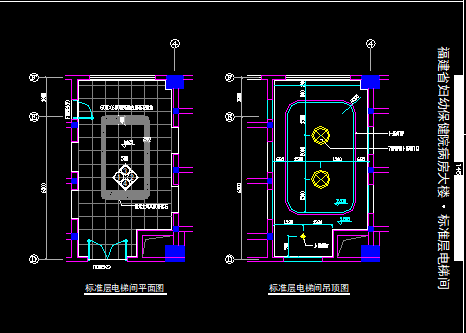 某病房大楼标准层电梯间的cad设计图-图二