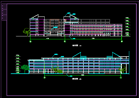 某学校体育馆活动中心建筑设计CAD立面图纸-图二