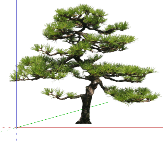 现代2D造型景观树组合su模型_图1