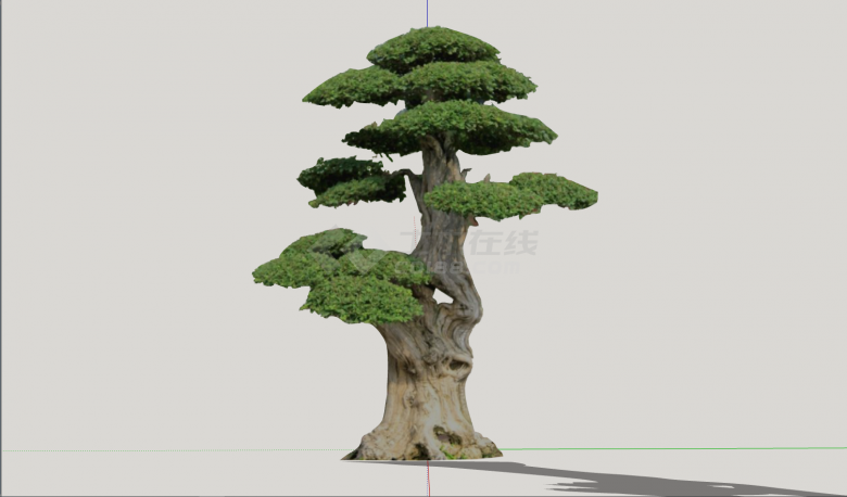 大型树干粗壮景观植物su模型-图一