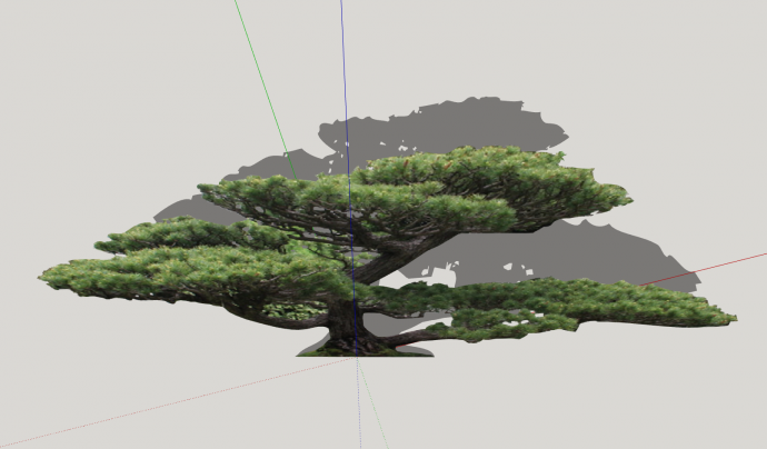 大型多树干植物景观su模型_图1