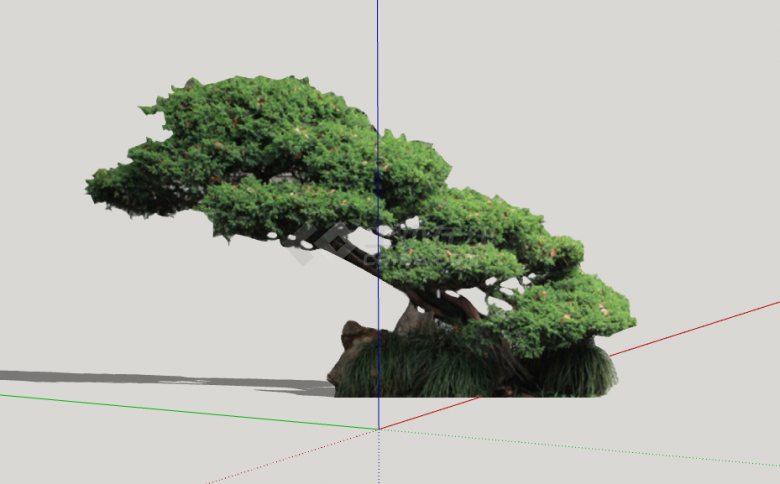 斜状现代茂密造型树su模型-图二