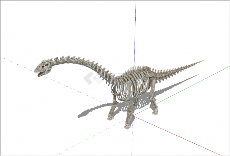 现代远古超大恐龙化石骨架动物su模型-图二