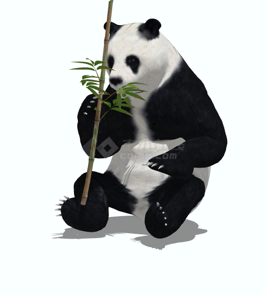 可爱憨厚吃竹子熊猫 su模型-图一