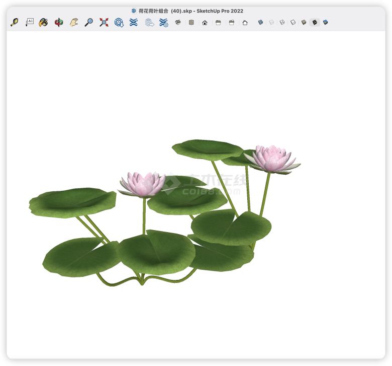 优雅寂静荷花荷叶组合su模型-图二