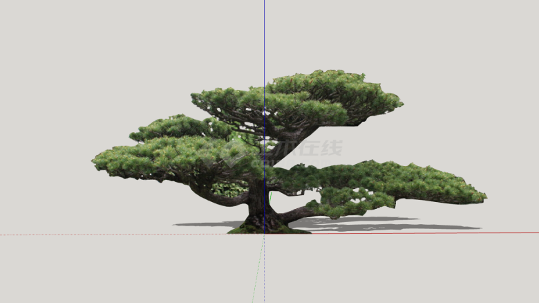 现代绿色超大造型树su模型-图一