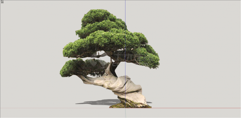 现代观赏性翠绿造型树su模型-图二