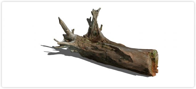 粗壮斑斓褐色朽木腐木树根su模型_图1