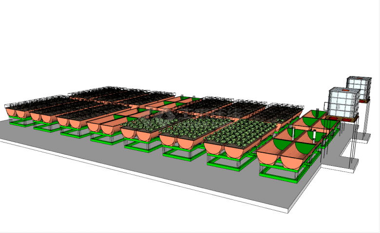 大型养殖场养殖基地地鱼菜共养共生蔬菜养殖su模型-图一
