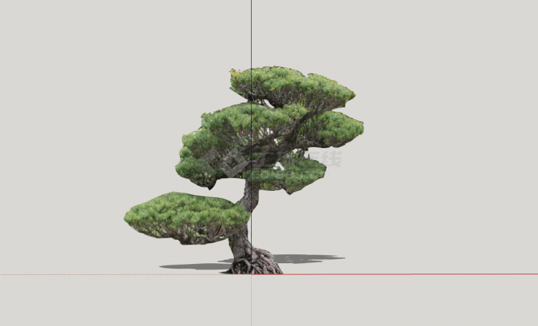 现代歪曲茂盛造型树su模型-图一