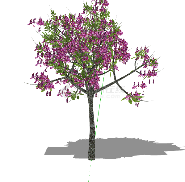 紫花翠叶3d有色叶树木su模型-图一