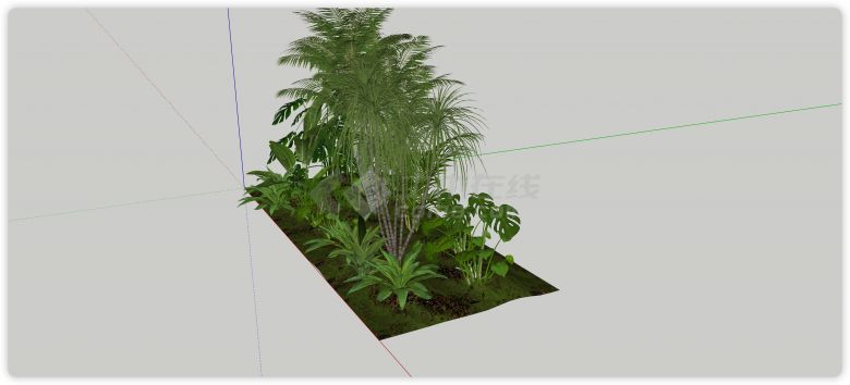 棕榈树绿色植物灌木su模型-图二