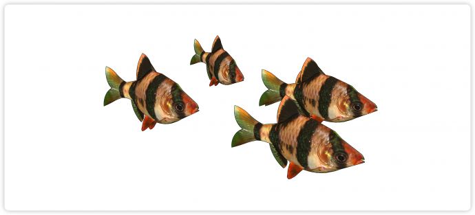 绿色闪闪水族馆鱼类动物组合su模型_图1