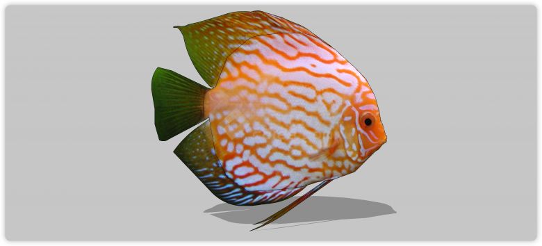白色橙色花纹热带鱼水族馆鱼类动物组合su模型-图一