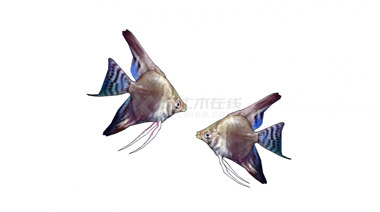 蓝紫花纹水族馆鱼类动物一对su模型-图一