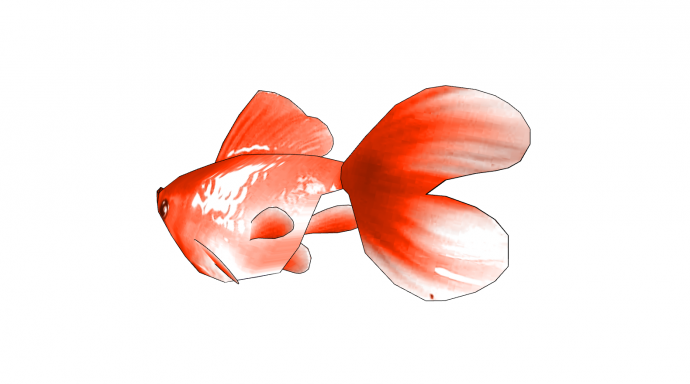 水族馆红色鱼类动物su模型_图1