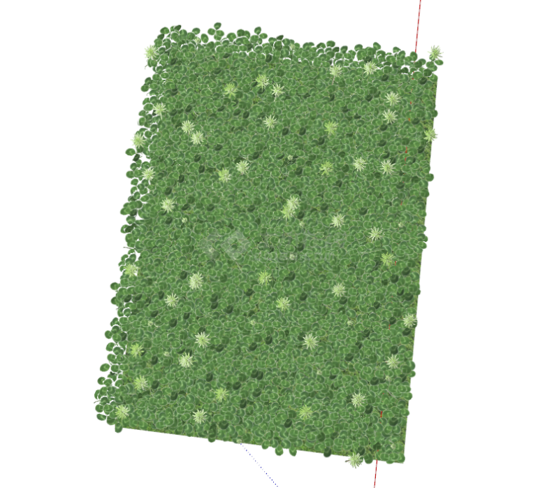 草皮草坪地被水植物su模型-图一