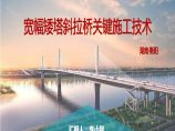 李小利-矮塔斜拉桥关键施工技术图片1