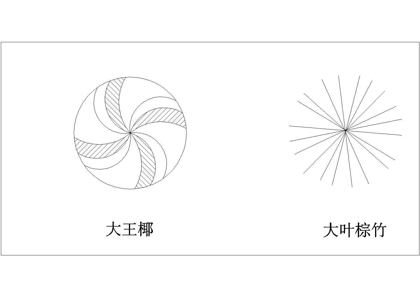 景观工程设计中常用的植物设计图例汇总