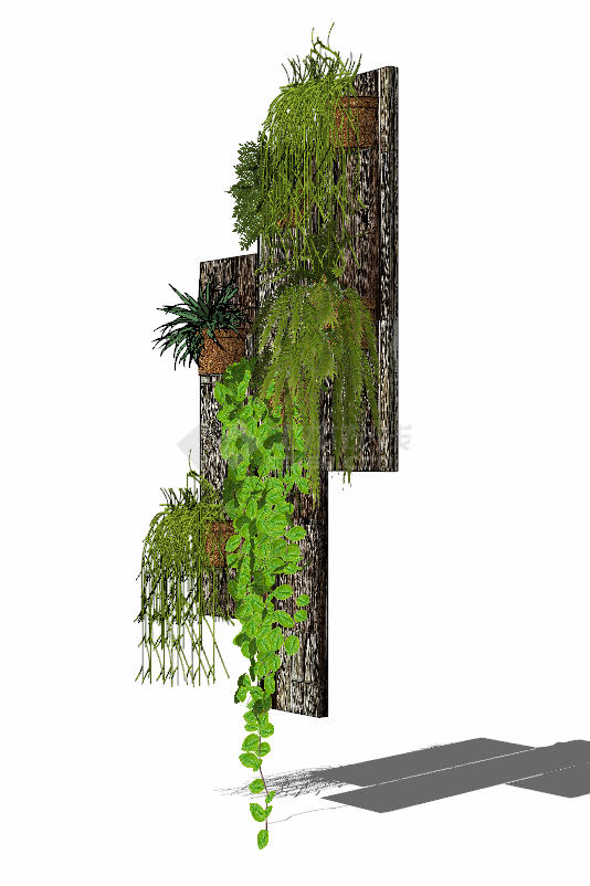 深色实木上雕刻的花盆带有绿色小植物的绿墙花架su模型-图二