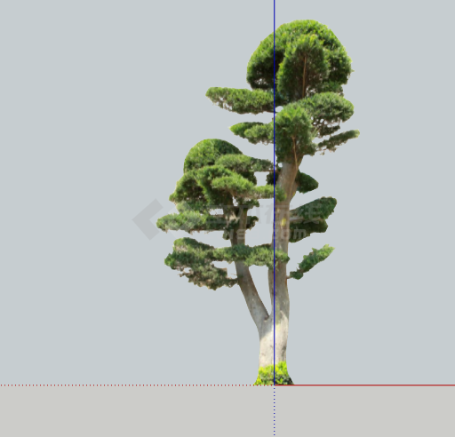 绿色粗壮绿丝带造型树 su模型-图一