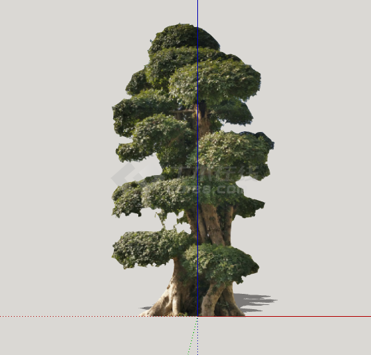 绿色褐色绿丝带造型树 su模型-图一