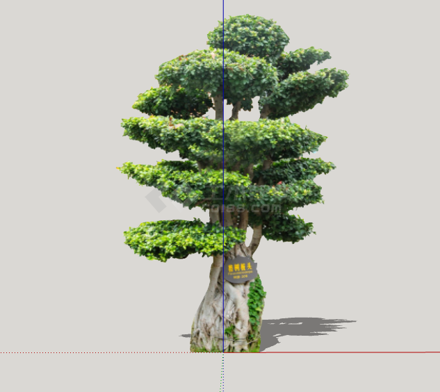 灰色粗壮绿丝带造型树su模型-图一