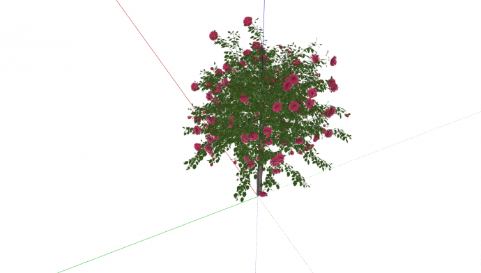 一颗树状的开满粉色花的月季花 su模型_图1