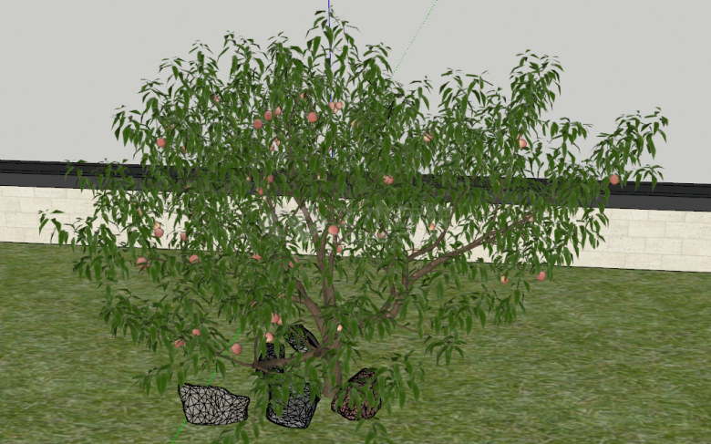 庭院花园种植桃树su模型-图二