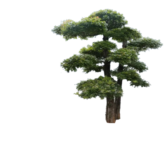两颗绿色2D造型景观树组合su模型_图1