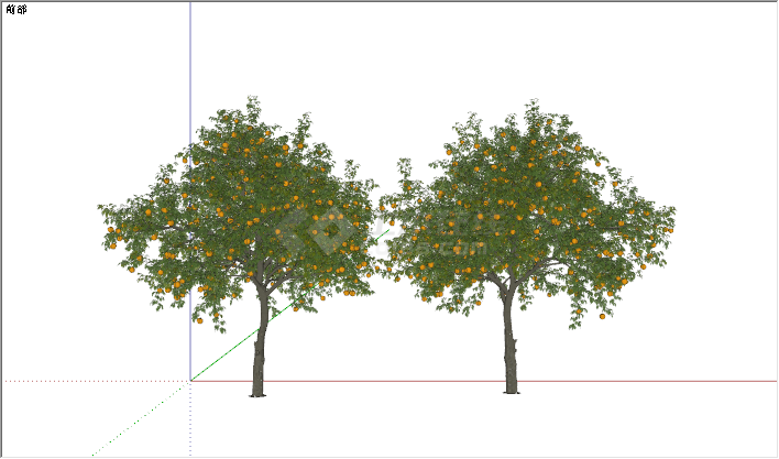 现代景观树庭院黄色果树su模型-图一