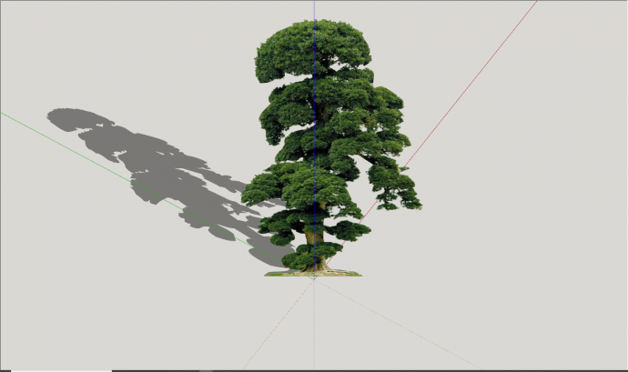 现代公园高档观赏树su模型_图1