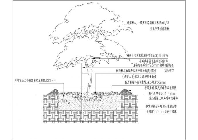西充县某学校景观植物配置施工图纸_图1