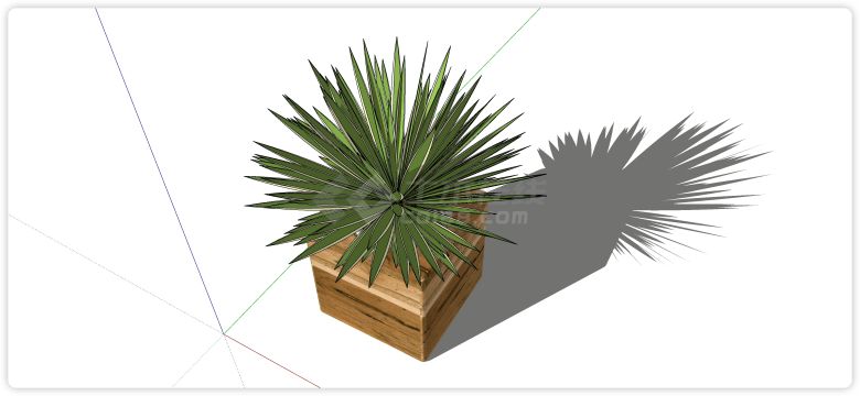 方形木纹花槽万年青绿植盆栽su模型-图二