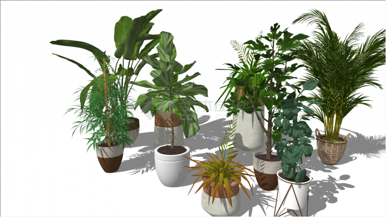 多个浅色盆装现代绿植盆栽su模型-图二