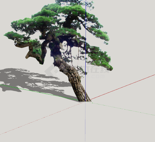 绿色简约造型松树组合su模型-图二