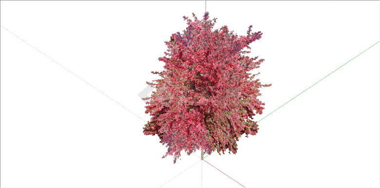现代单棵红花树植物su模型-图二