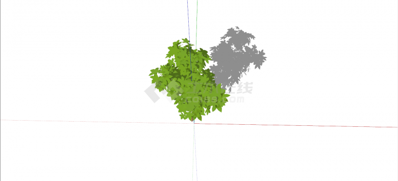金叶槭树科绿色乔木su模型-图二