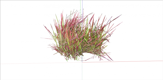 红绿双色灌木植物su模型_图1