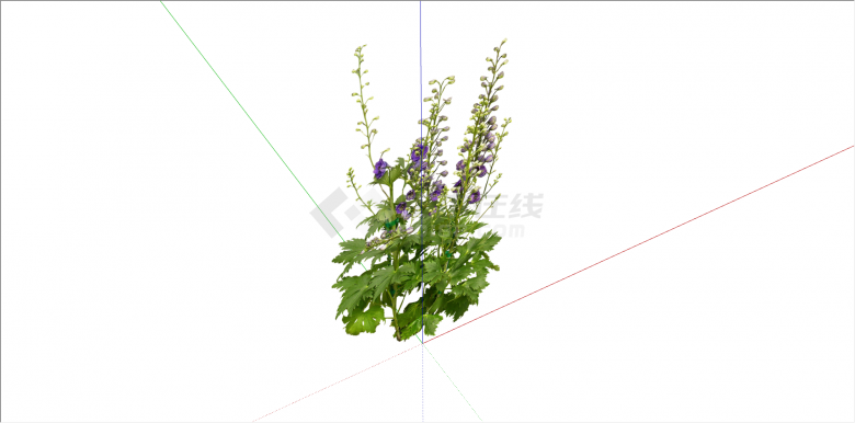 养殖性紫色花朵植物su模型-图二