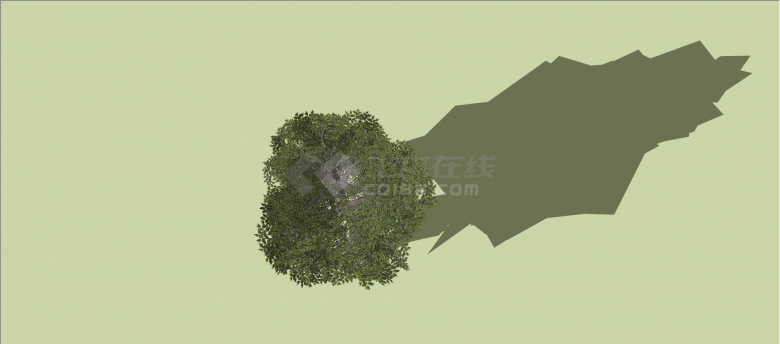 木犀科白蜡树常绿乔木su模型-图二