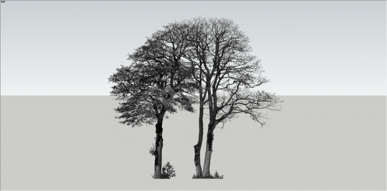 黑白剪影系列造型树su模型-图一