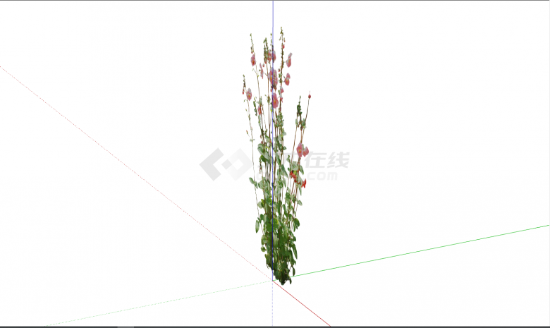 带粉红色花朵花卉灌木su模型-图二