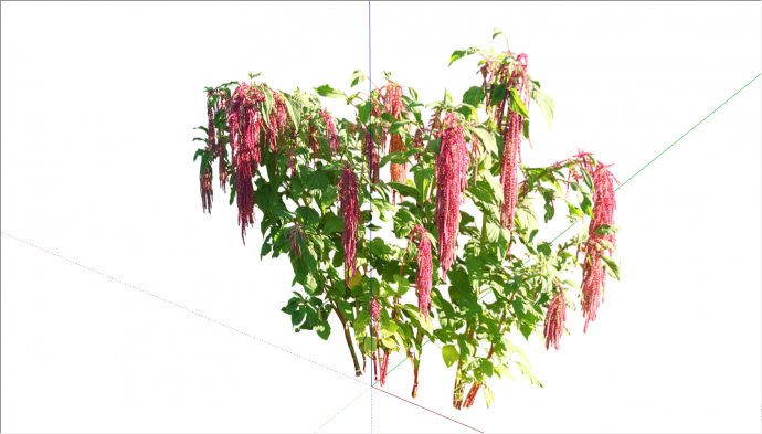 开有红色小花的茂密植物su模型_图1
