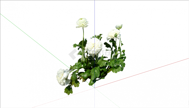 一颗开有白色小花的植物su模型-图二