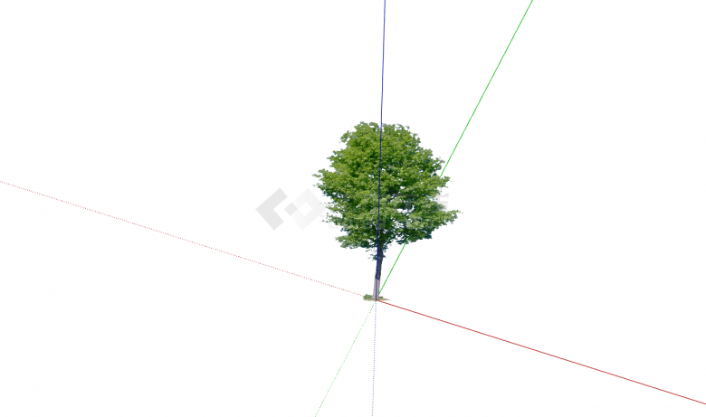 翠绿色小型单颗乔木su模型-图二