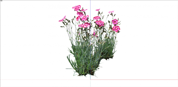 现代粉红双色花植物su模型_图1