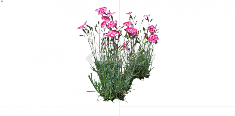 现代粉红双色花植物su模型-图一