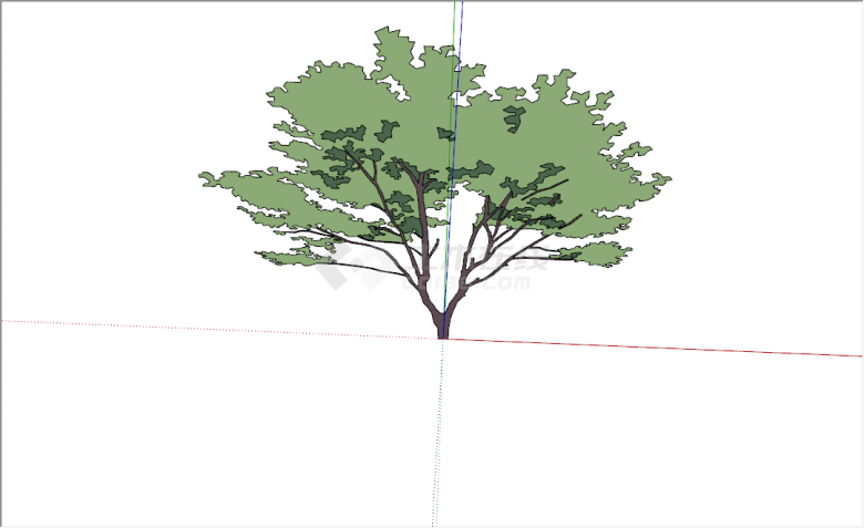 现代常绿高耸型乔木su模型-图二