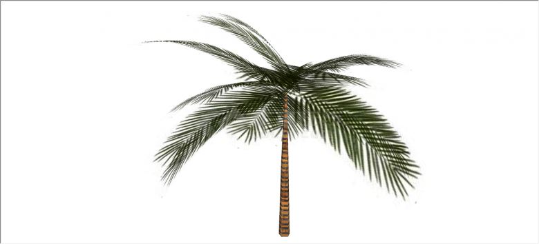 细致挺直棕榈热带树木su模型-图二